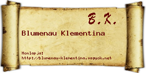 Blumenau Klementina névjegykártya